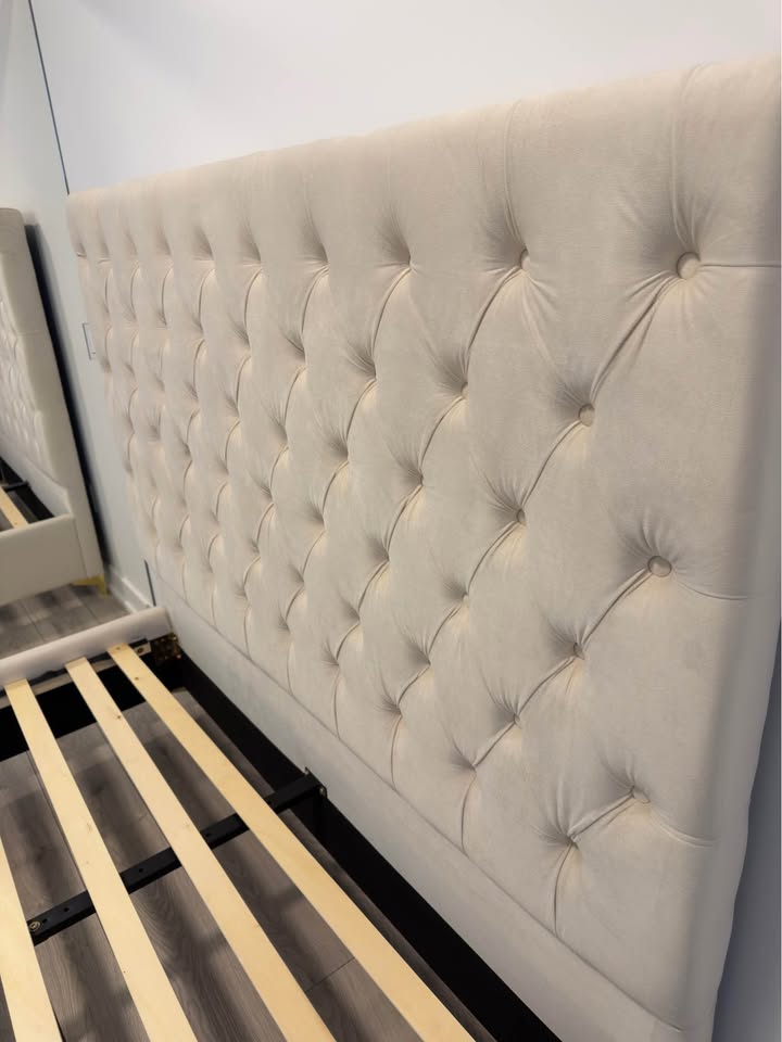 Button tufted Creme Velvet Fabric Bed With Gold/Chrome legs (NS-5642)